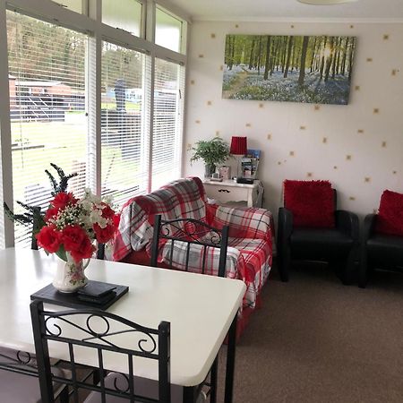 Whispering Creek Hotell New Quay  Exteriör bild