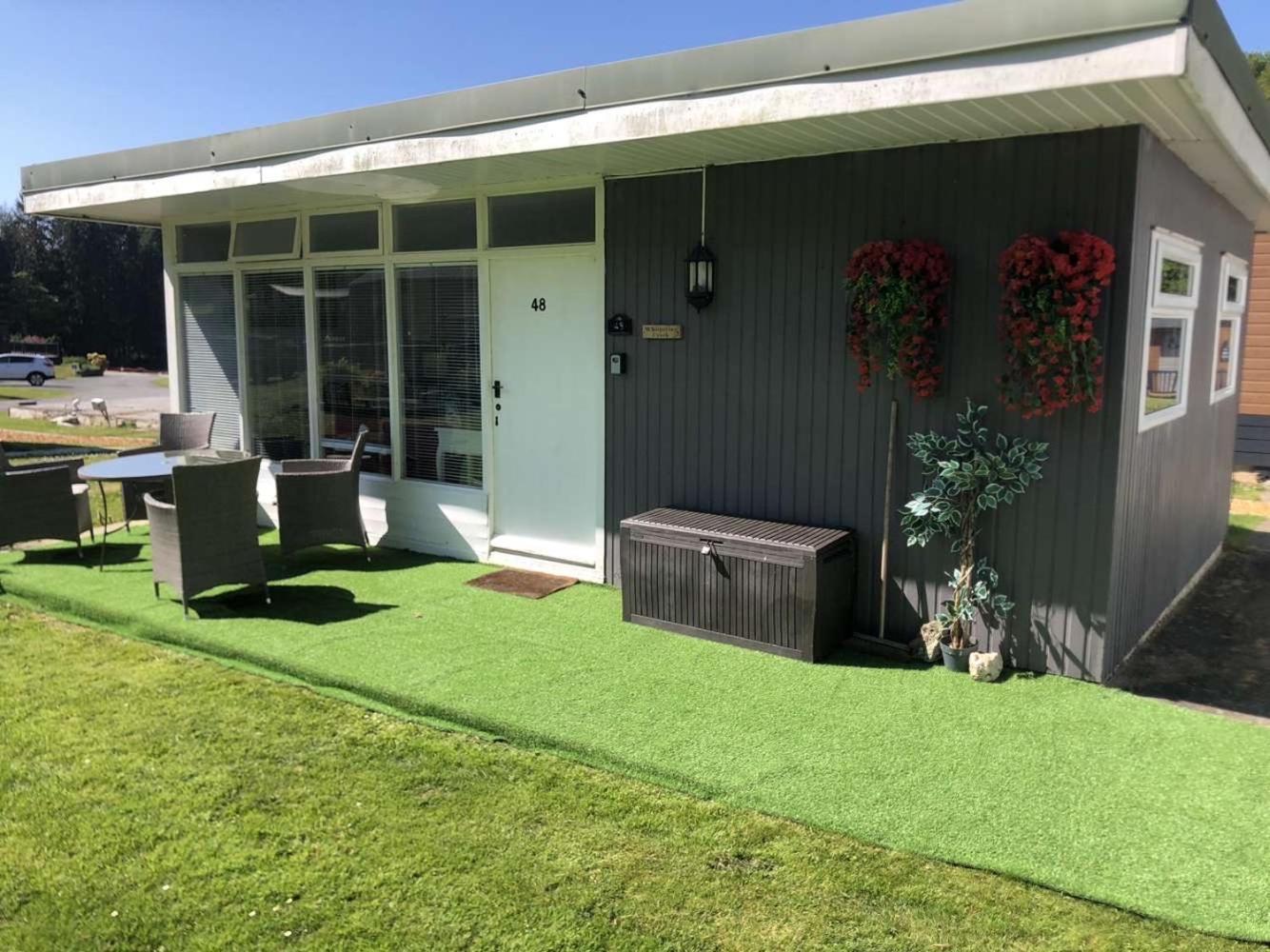 Whispering Creek Hotell New Quay  Exteriör bild